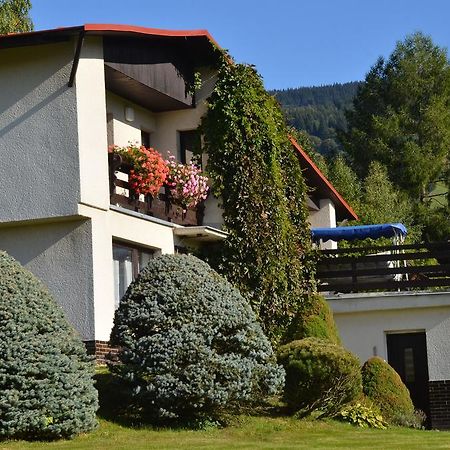 Apartman Braun Rokytnice nad Jizerou Bilik gambar
