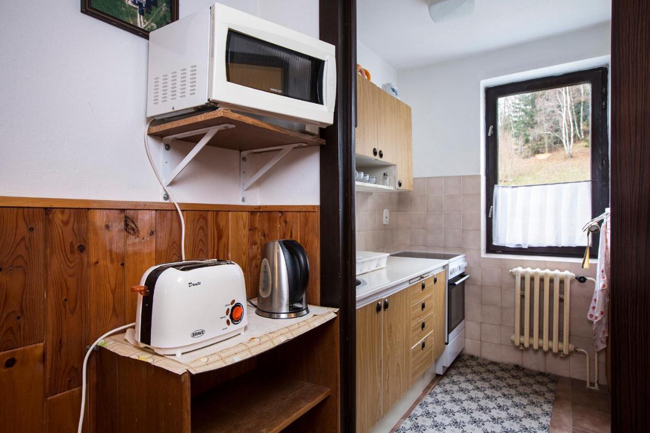 Apartman Braun Rokytnice nad Jizerou Luaran gambar